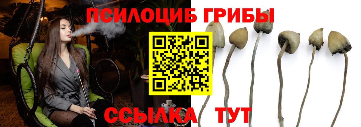 Златоуст  Галлюциногенные грибы Cubensis  Вход с VPN  Галлюциногенные грибы GOLDEN TEACHER 