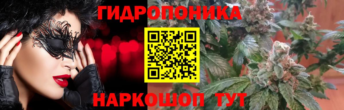Бошки Шишки ГИДРОПОН  Вход с VPN  Златоуст  Шишки марихуана гибрид 